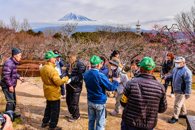 marugoto_iwamotoyama2019a.jpg