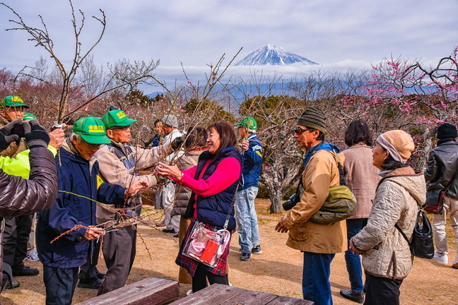 marugoto_iwamotoyama2019b.jpg