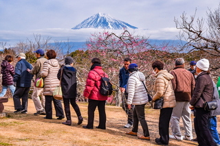 marugoto_iwamotoyama2019c.jpg