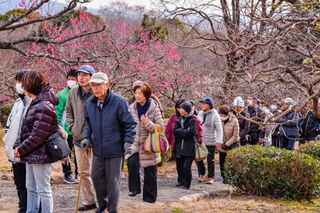 marugoto_iwamotoyama2019d.jpg