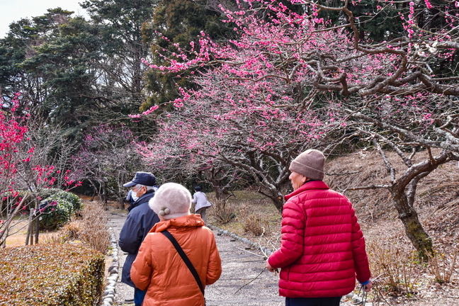marugoto_iwamotoyama2019e.jpg