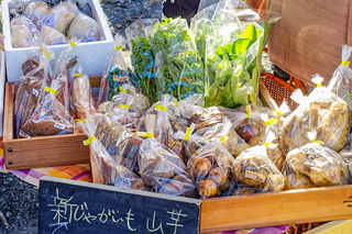 matsuno_marche202012i.jpg