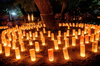 miho_candle2019c.jpg