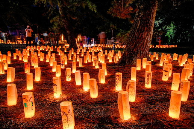 miho_candle2019d.jpg