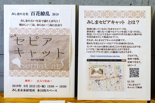 mishimasepiacat201909e.jpg