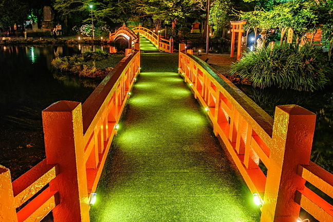 miya_lightup2021i.jpg
