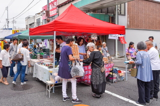miyachofes201906b.jpg