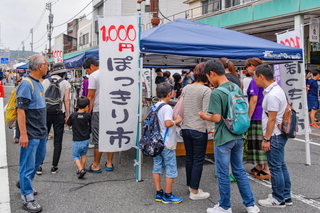 miyachofes201906c.jpg