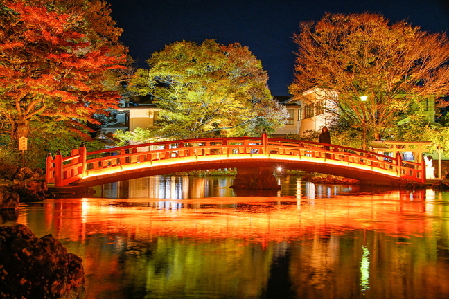 miyalightup2022c.jpg