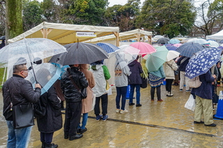 miyapurinfes03.jpg