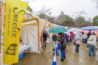 miyapurinfes04.jpg