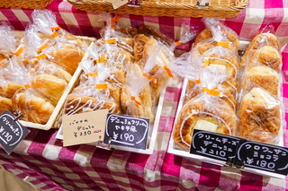 nanfuji2019l.jpg