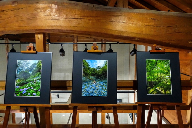nextagephoto04.jpg