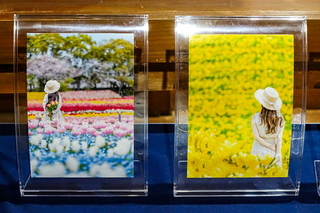 nextagephoto06.jpg