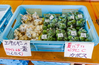 obuchifurusato_hm201909n.jpg