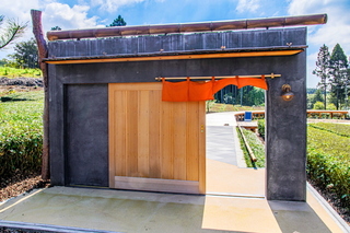 ogino_chaen06.jpg