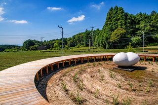 ogino_chaen08.jpg