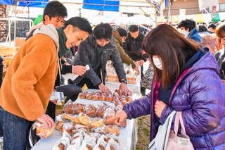 pansofes07.jpg