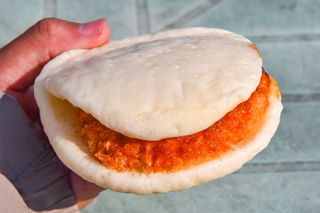 pansofes11.jpg