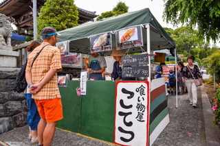 ptf_fujifes06.jpg