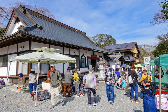 satoyamaichiba201911a.jpg