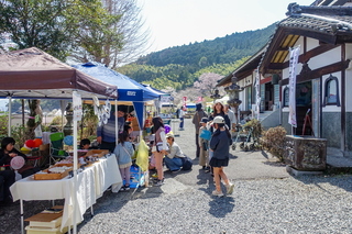 satoyamaichiba202403b.jpg