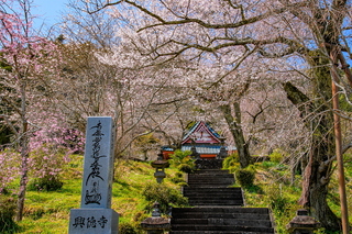 satoyamaichiba202403j.jpg