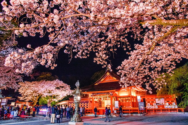 sengen_oukasai2019e.jpg