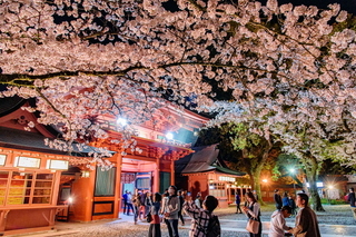 sengen_oukasai2019f.jpg