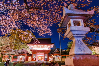 sengen_oukasai2019g.jpg