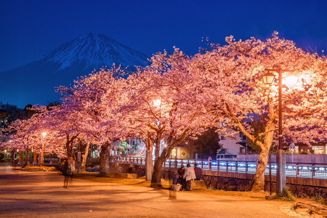 sengen_oukasai2019h.jpg