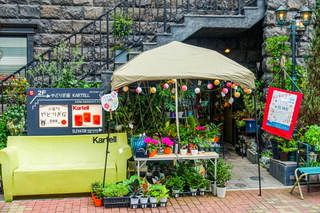 setoya_kakigori10.jpg