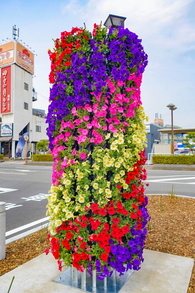 shinfujihiroba05.jpg