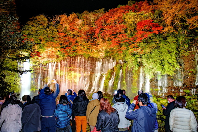 shiraito_lightup2023j.jpg