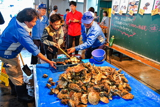 shirasukaidofair2019j.jpg