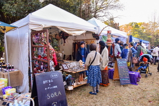shizuorganicfes02.jpg