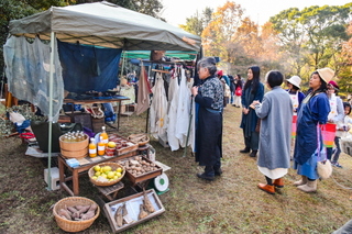 shizuorganicfes04.jpg