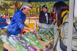 shizuorganicfes10.jpg