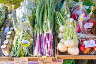 shizuorganicfes11.jpg