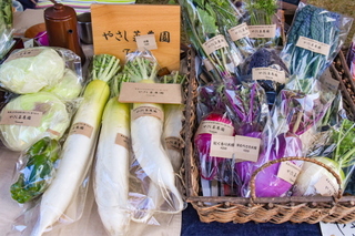 shizuorganicfes12.jpg
