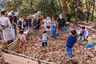 shizuorganicfes15.jpg
