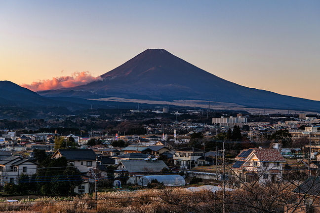 susono_hanabipj2020a.jpg