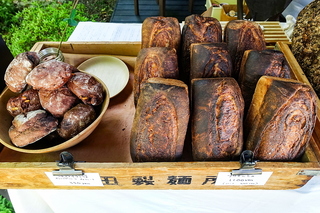sutenaikurashifes11.jpg