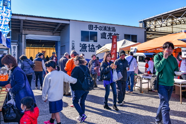 tago2323wakame01.jpg