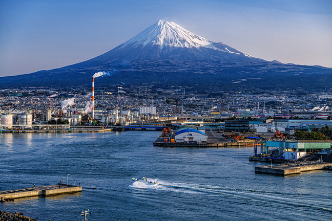 tago_shirasu20200321g.jpg