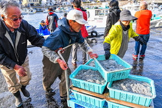 tago_shirasu20200321k.jpg