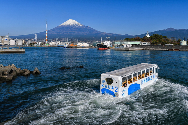 tago_suirikubus2019h.jpg