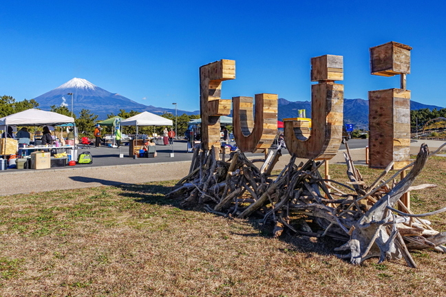 tagodriftwood01.jpg