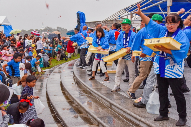 tagominatofes2019l.jpg