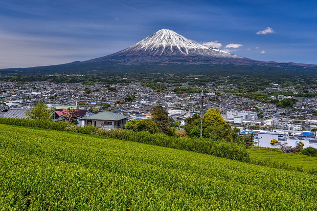 takaharaochafes2019m.jpg